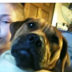 Meet your Posher, Shelby